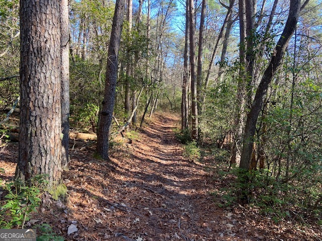 0 Whippoorwill Lane Property Photo 16
