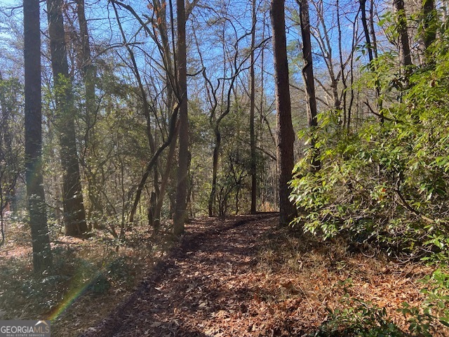 0 Whippoorwill Lane Property Photo 17