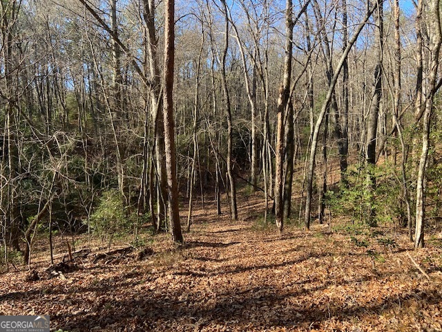 0 Whippoorwill Lane Property Photo 18