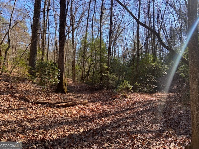 0 Whippoorwill Lane Property Photo 19