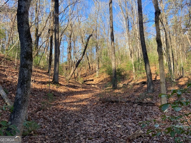 0 Whippoorwill Lane Property Photo 20