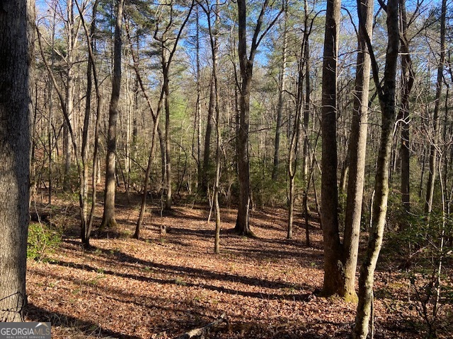 0 Whippoorwill Lane Property Photo 22