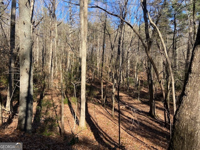 0 Whippoorwill Lane Property Photo 23