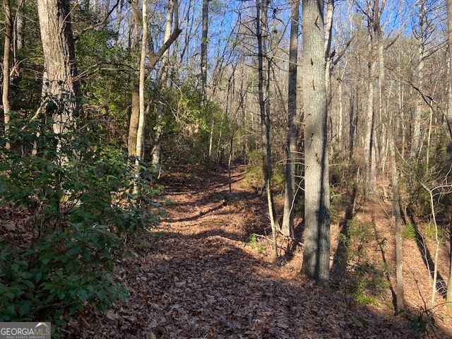 0 Whippoorwill Lane Property Photo 24
