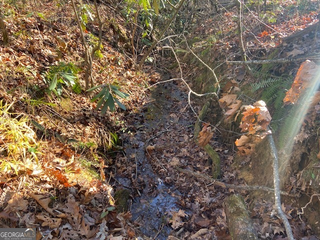 0 Whippoorwill Lane Property Photo 25