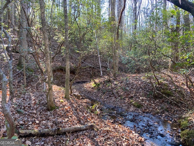0 Whippoorwill Lane Property Photo 28