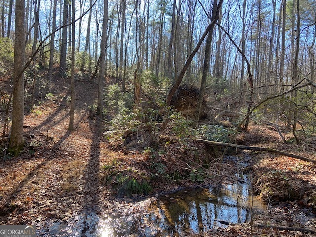 0 Whippoorwill Lane Property Photo 29