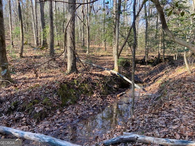 0 Whippoorwill Lane Property Photo 30