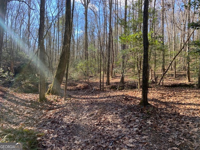 0 Whippoorwill Lane Property Photo 32