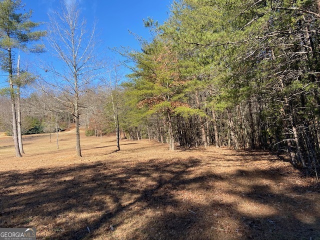 0 Whippoorwill Lane Property Photo 36