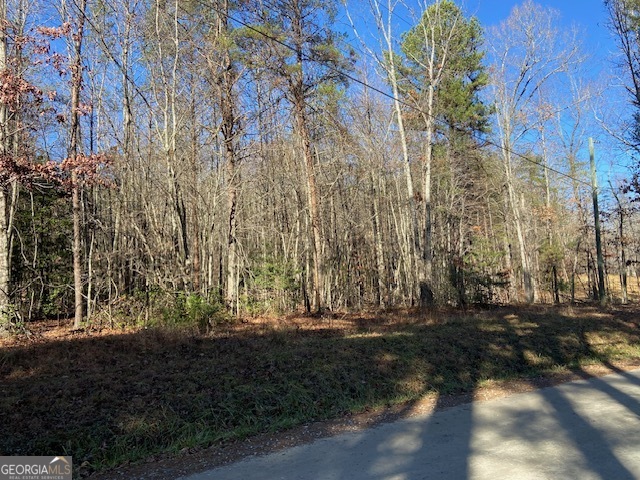 0 Whippoorwill Lane Property Photo 37
