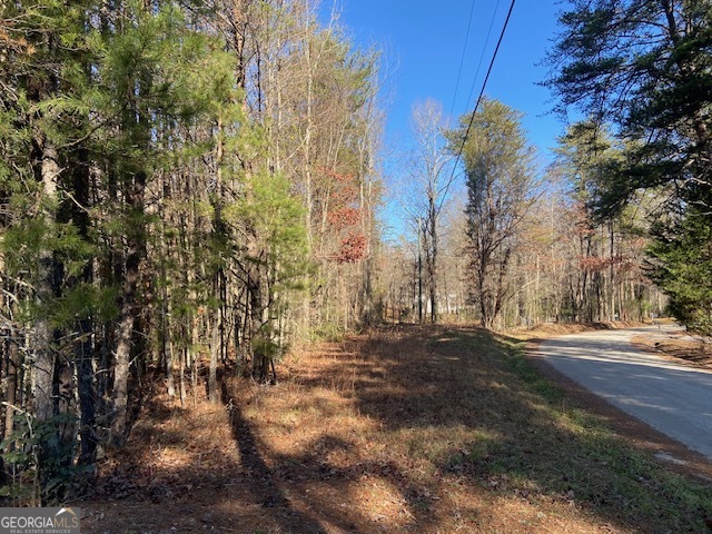 0 Whippoorwill Lane Property Photo 38