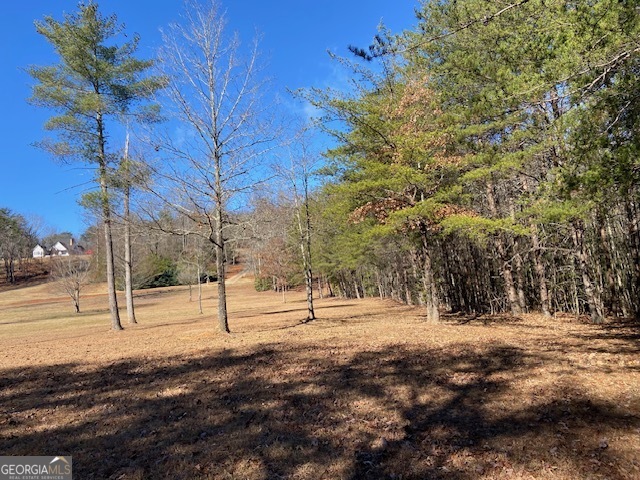 0 Whippoorwill Lane Property Photo 39