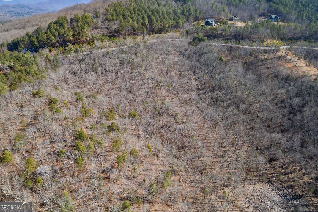 LOT 370 Thirteen Hundred Property Photo 1
