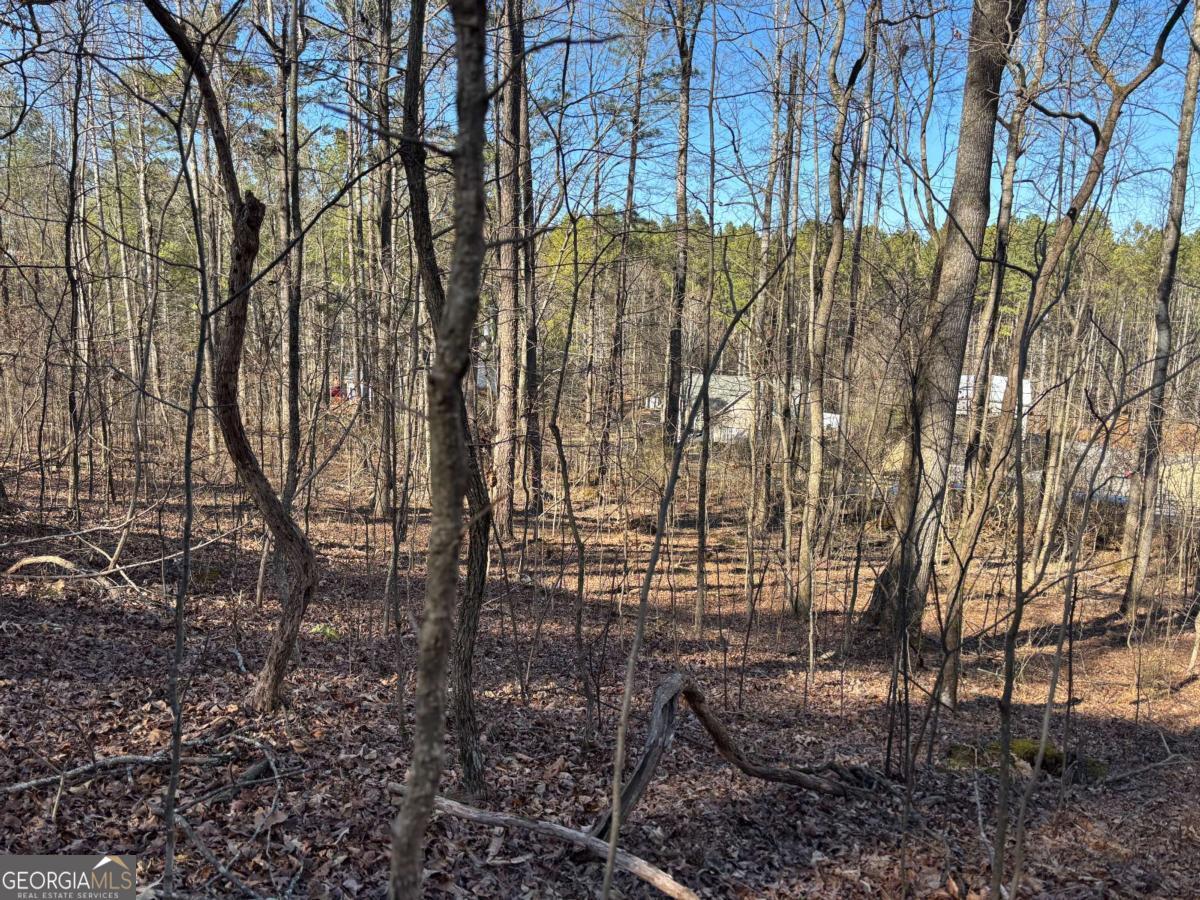 0 Gardner Springs Road Property Photo 2