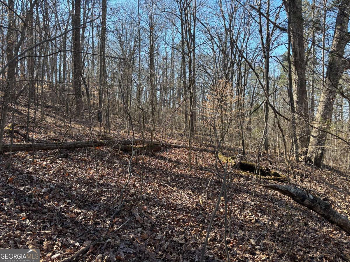 0 Gardner Springs Road Property Photo 5