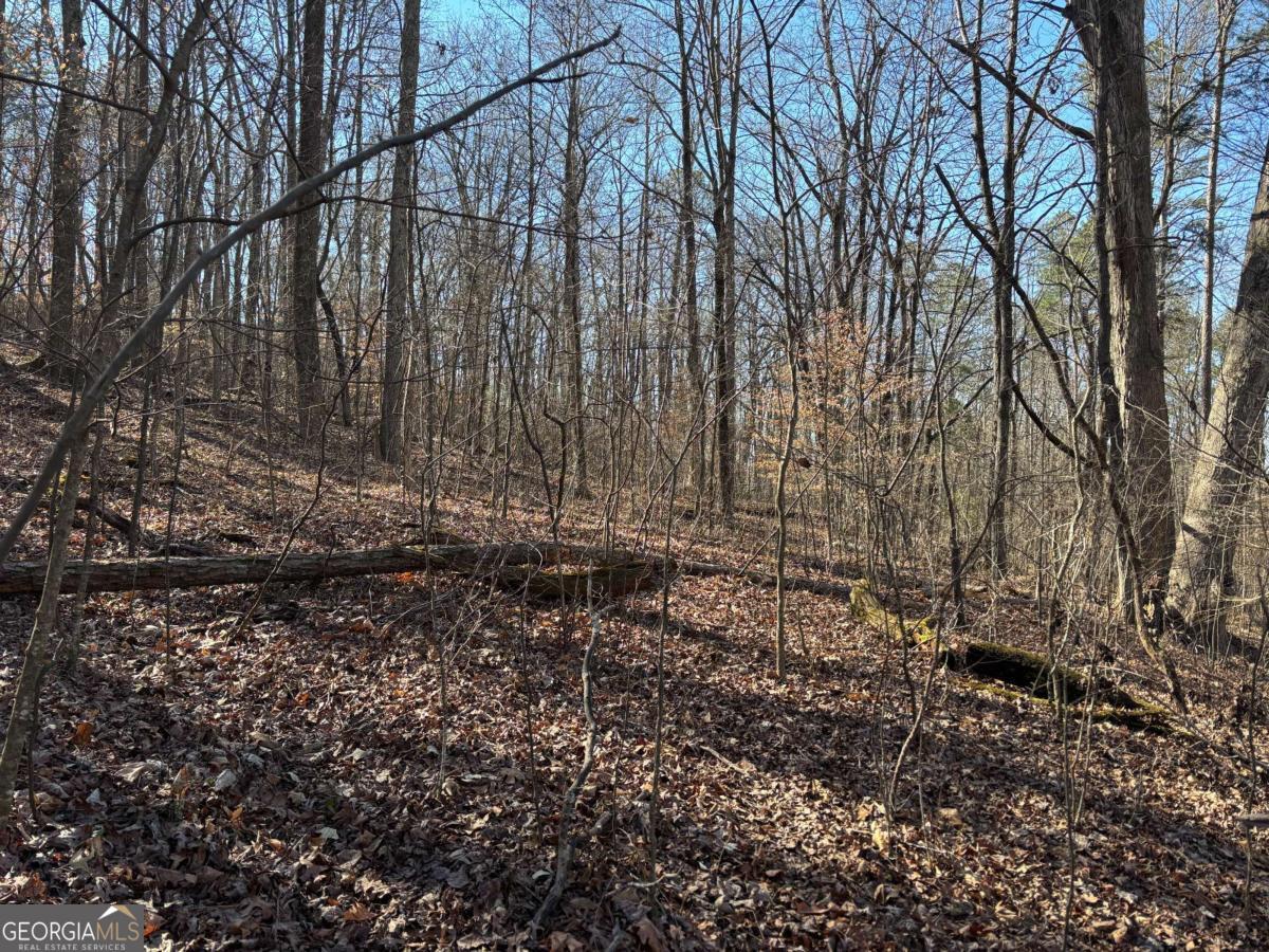 0 Gardner Springs Road Property Photo 6