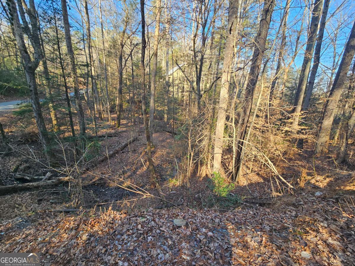Lt 1620 Nexus Drive Property Photo 2