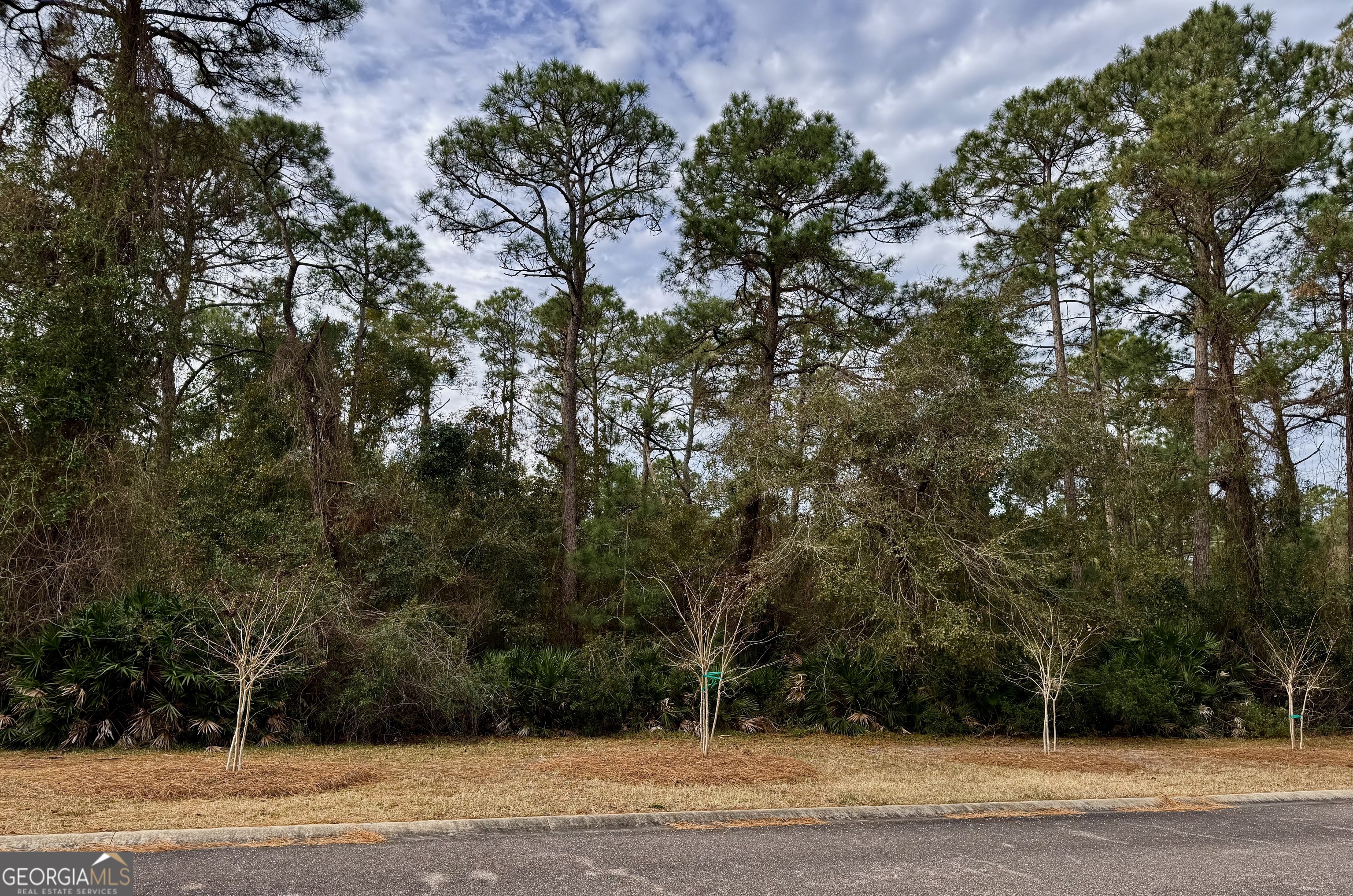 306 Clubhouse Circle Property Photo 4