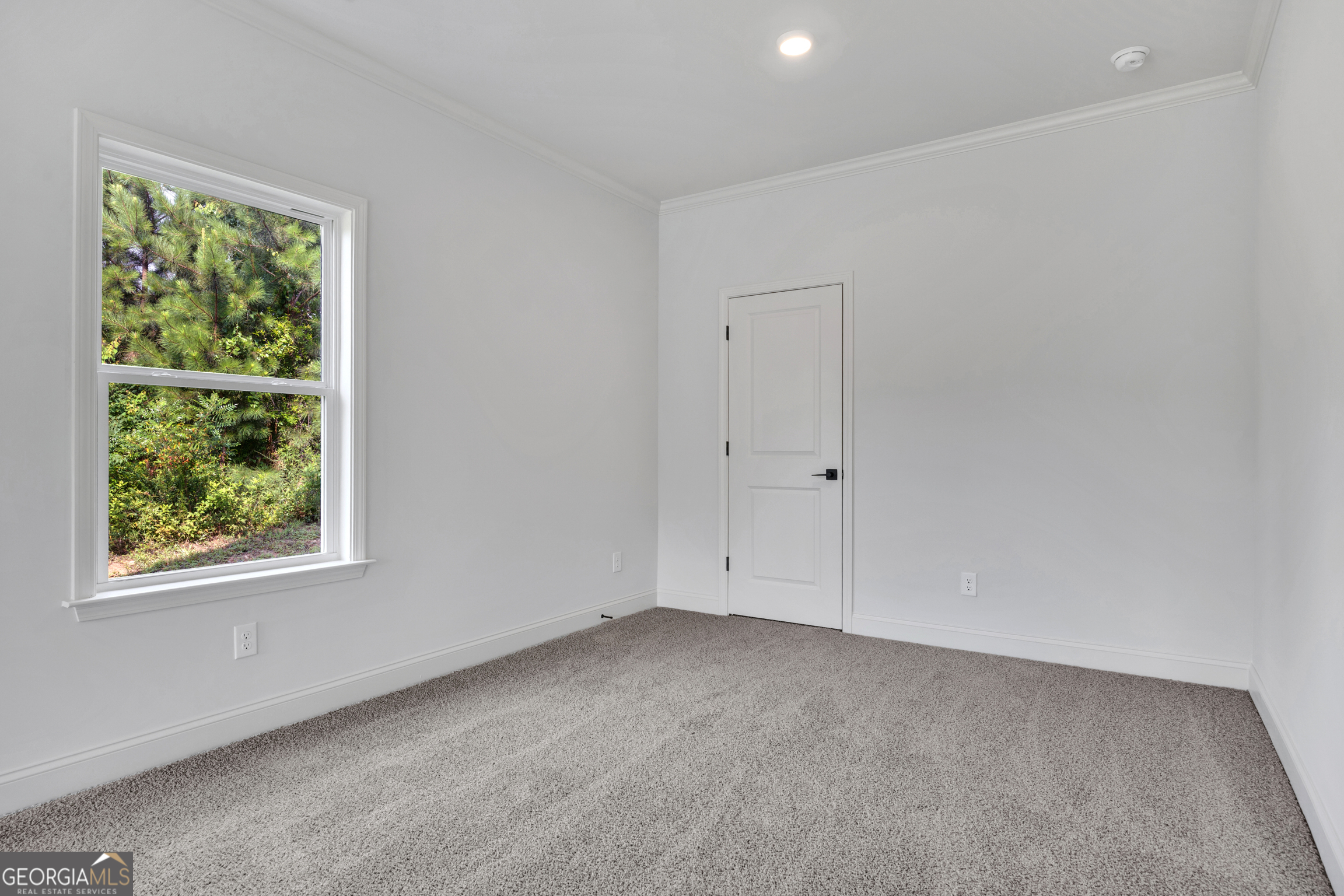 228 Trellis Walk Property Photo 21