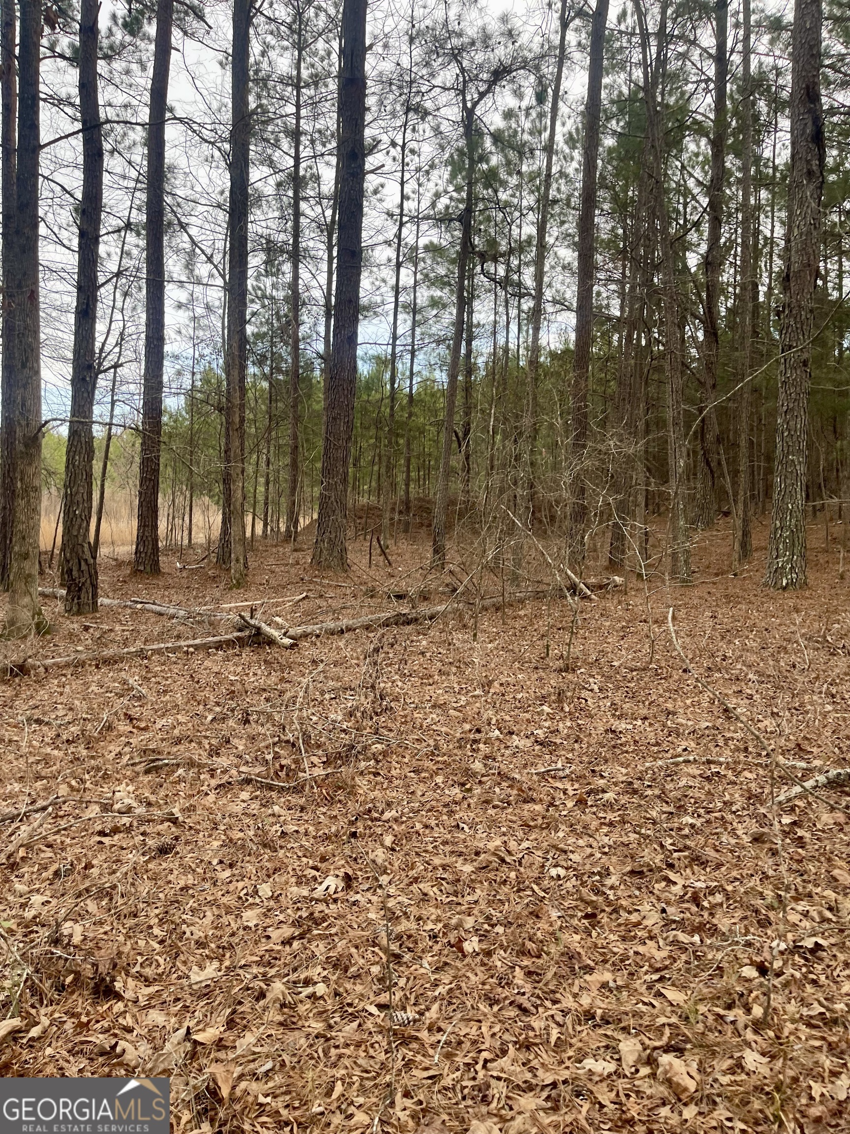 0 Padgett Road LOT 3