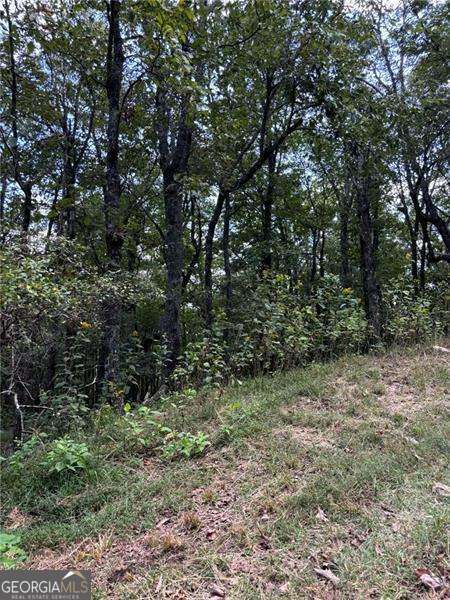 0 Little Hendricks Mountain Property Photo 1