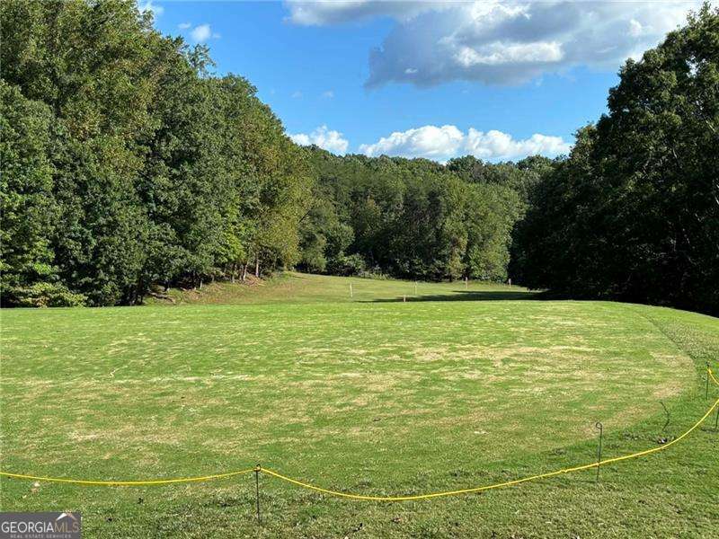 0 Little Hendricks Mountain Property Photo 4