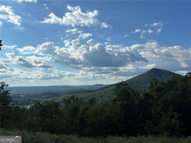 0 Little Hendricks Mountain Property Photo 15