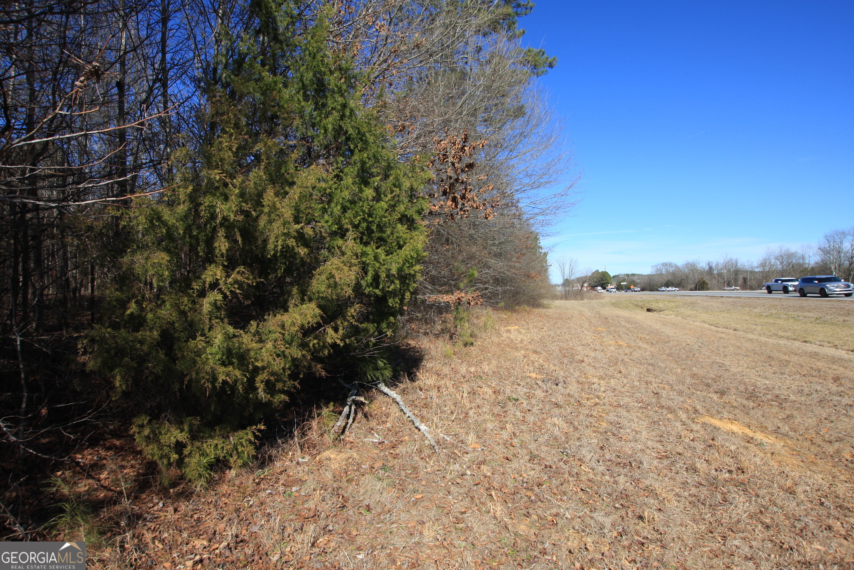 0 Calhoun Highway Property Photo 2