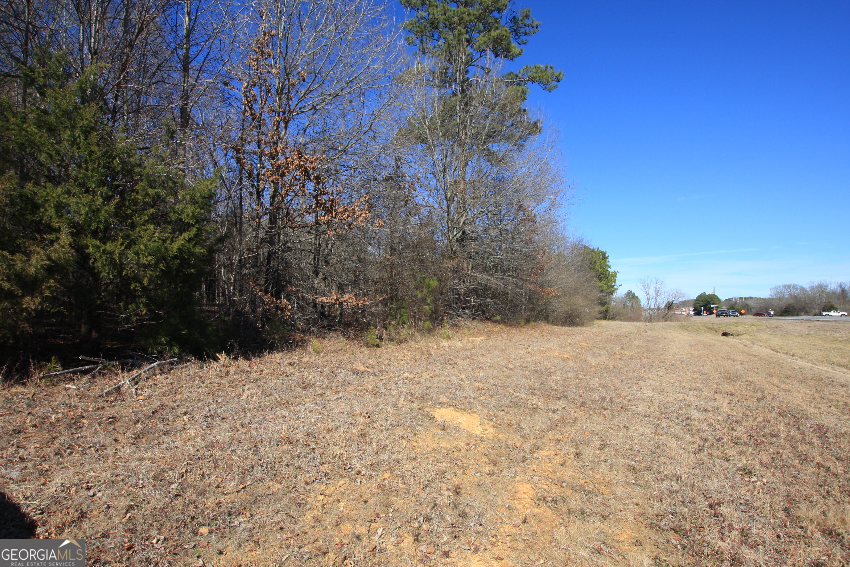 0 Calhoun Highway Property Photo 3