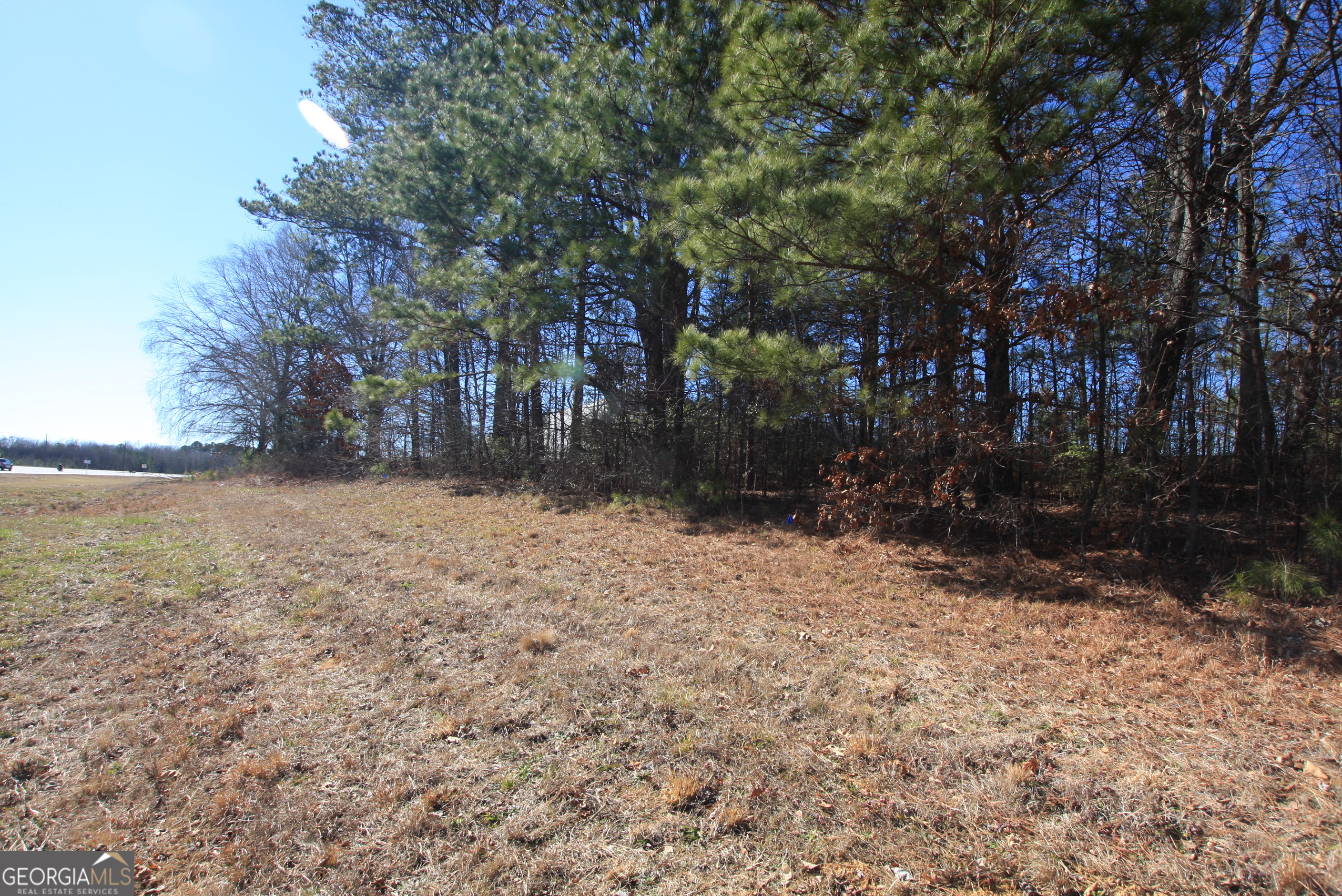 0 Calhoun Highway Property Photo 4