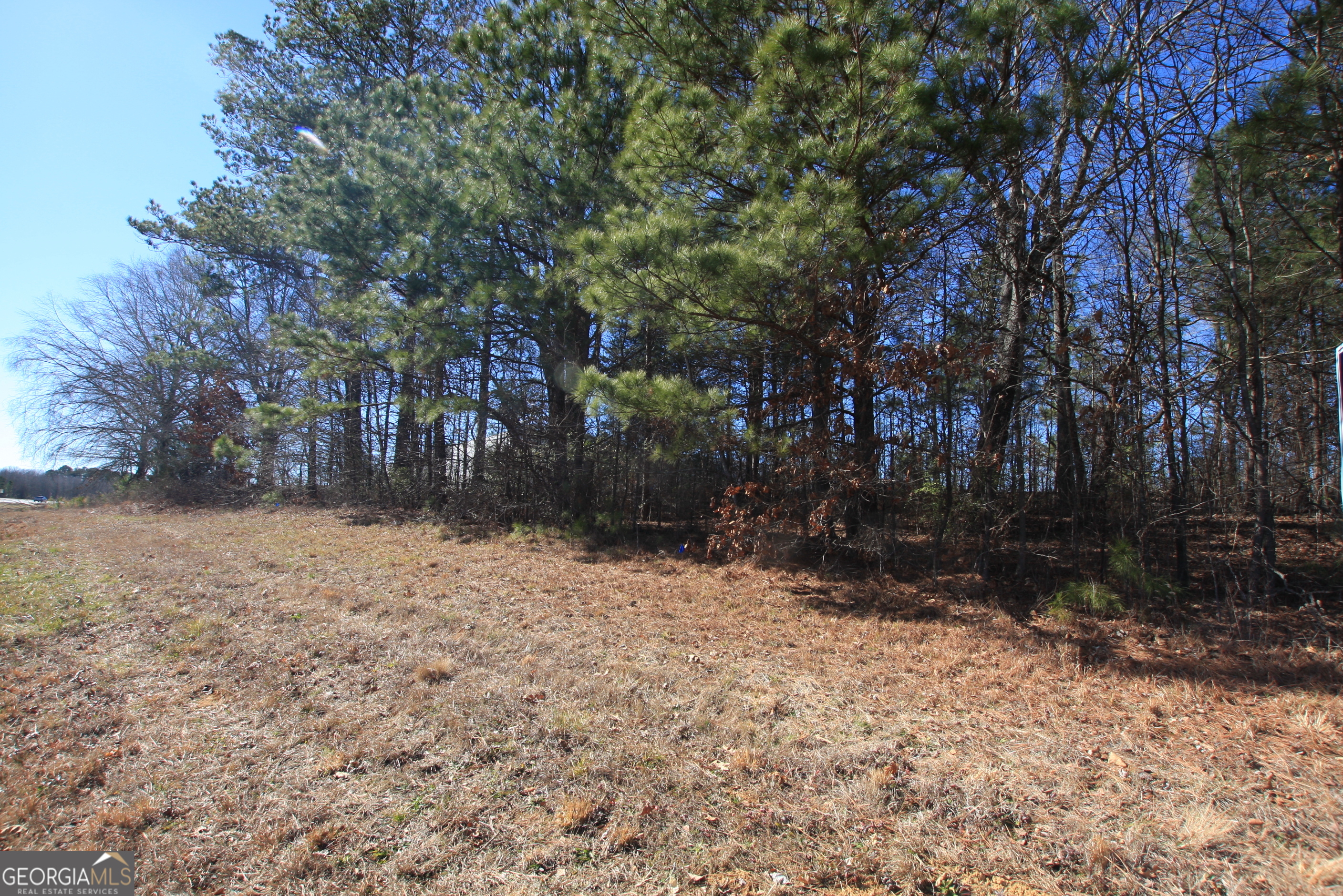 0 Calhoun Highway Property Photo 5