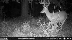 7596 Red Bud Ne Property Photo 29