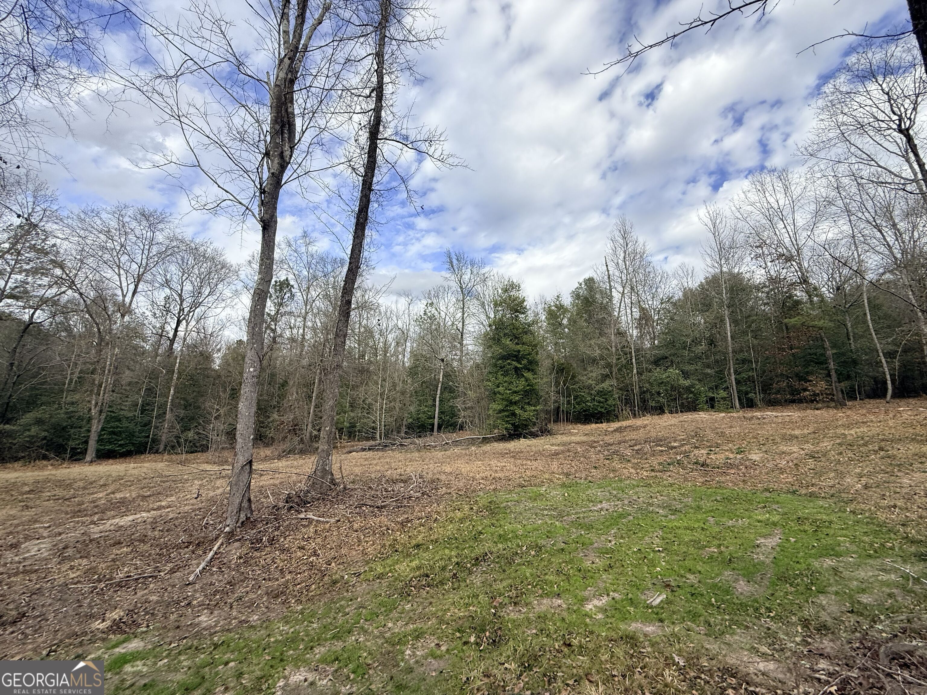 301 Beaver Dam Road Property Photo 77