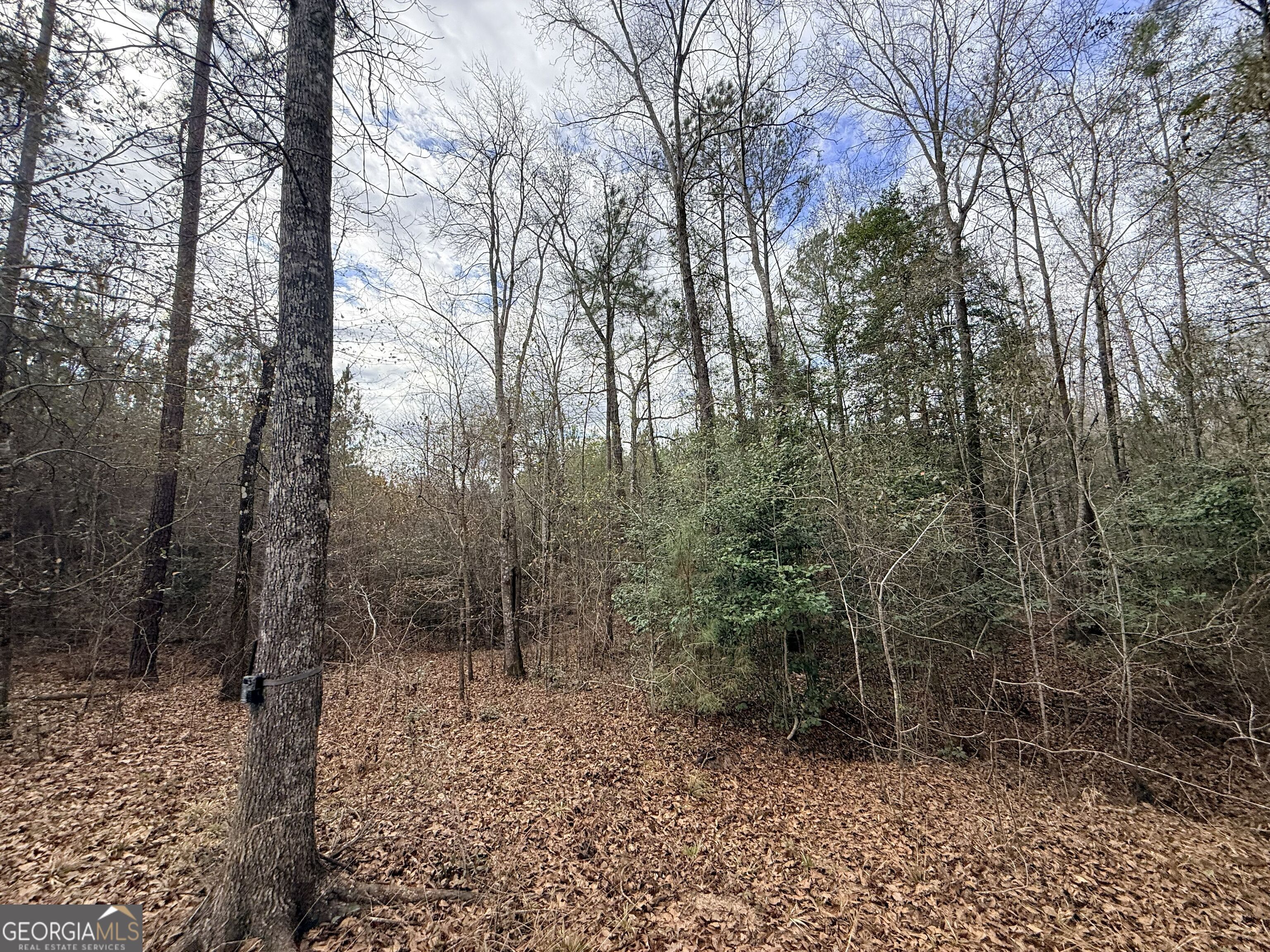 301 Beaver Dam Road Property Photo 83
