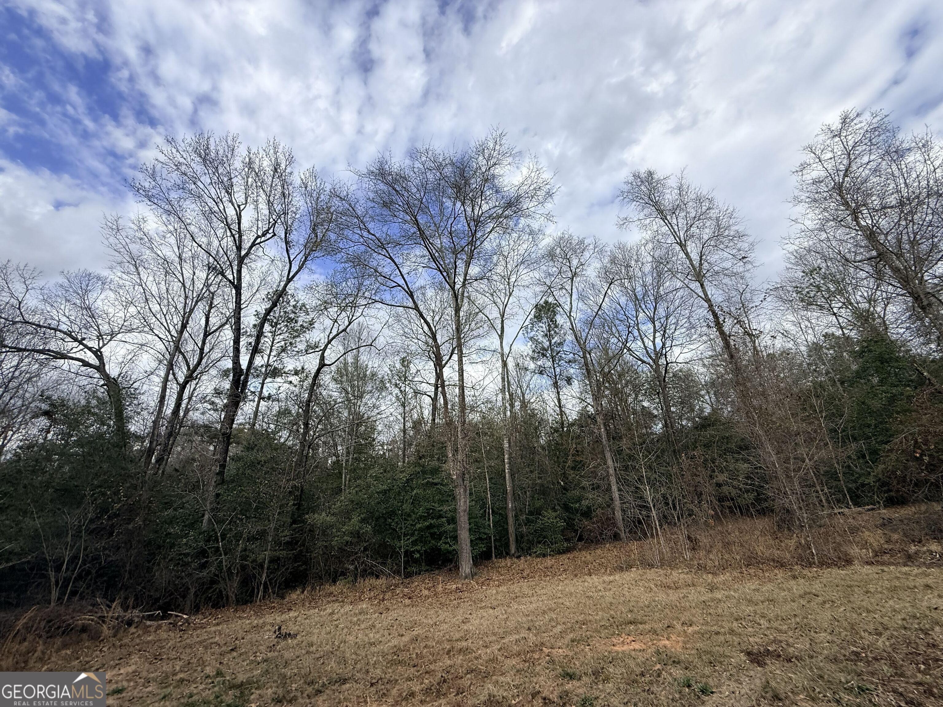 301 Beaver Dam Road Property Photo 89