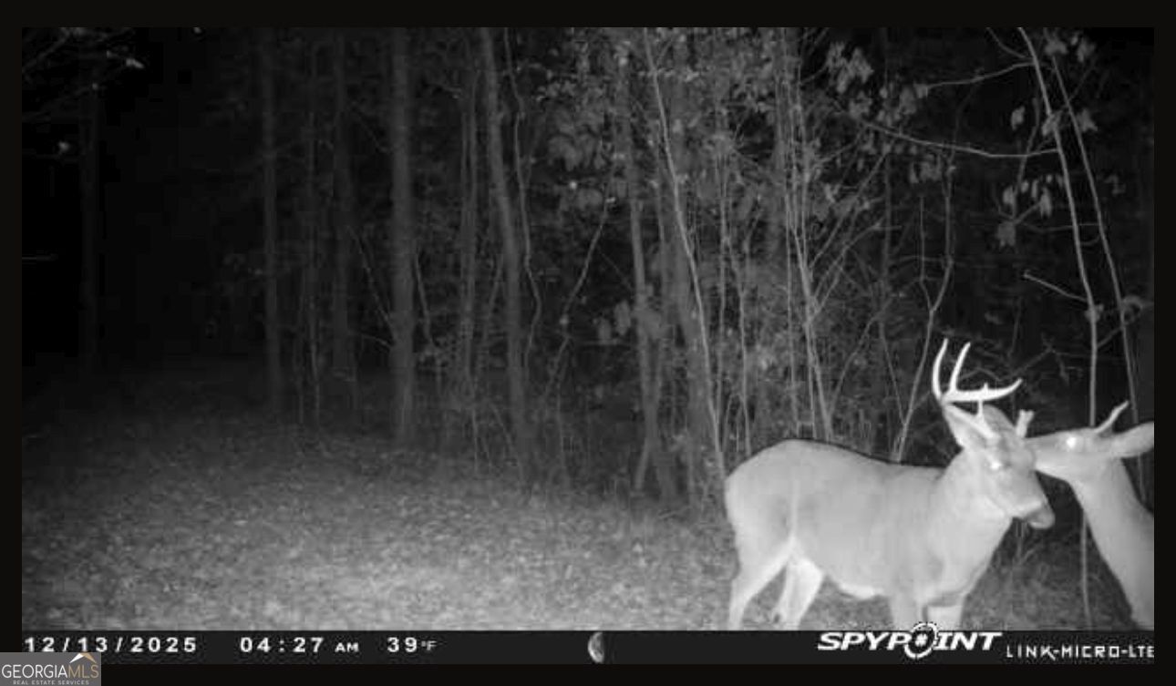 301 Beaver Dam Road Property Photo 98