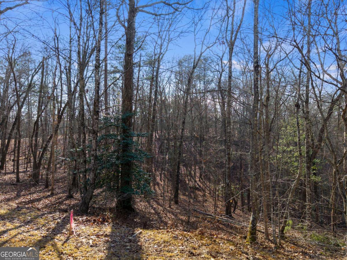 56 Robins Ridge # 5a Property Photo 11