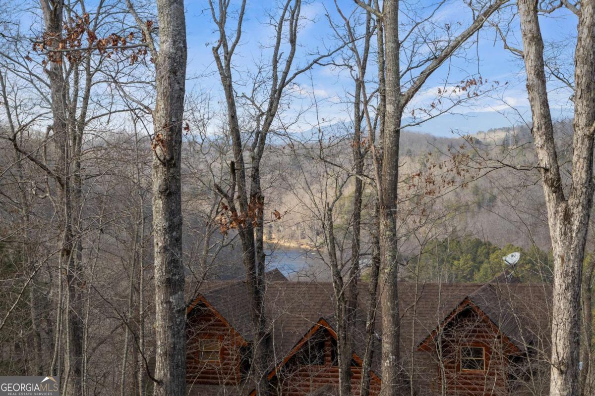 56 Robins Ridge # 5a Property Photo 48