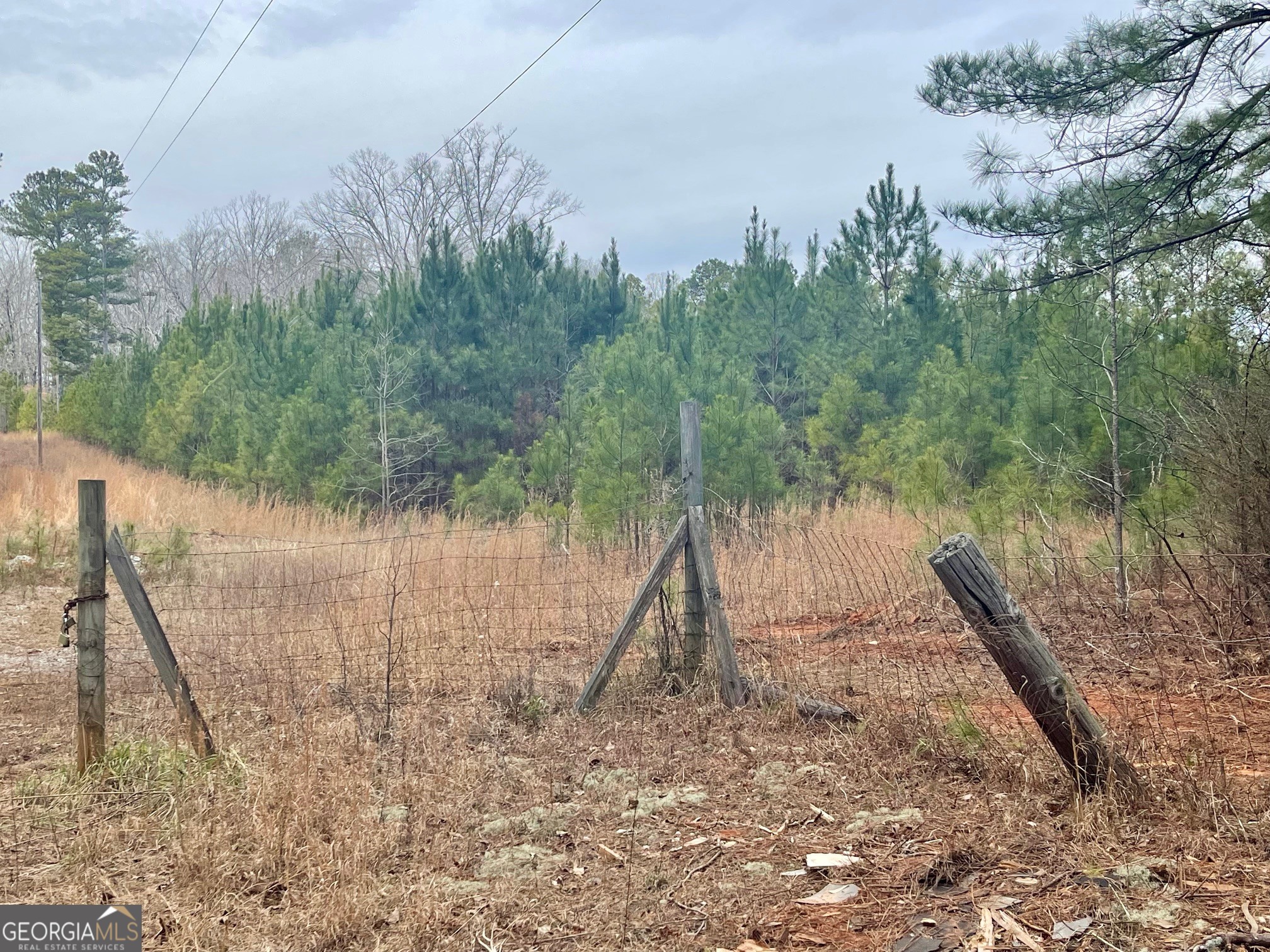 0 Padgett Road Lot 13 Property Photo 1