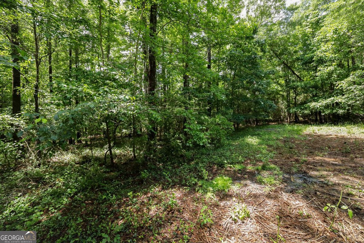 500 Kingston Road Property Photo 44