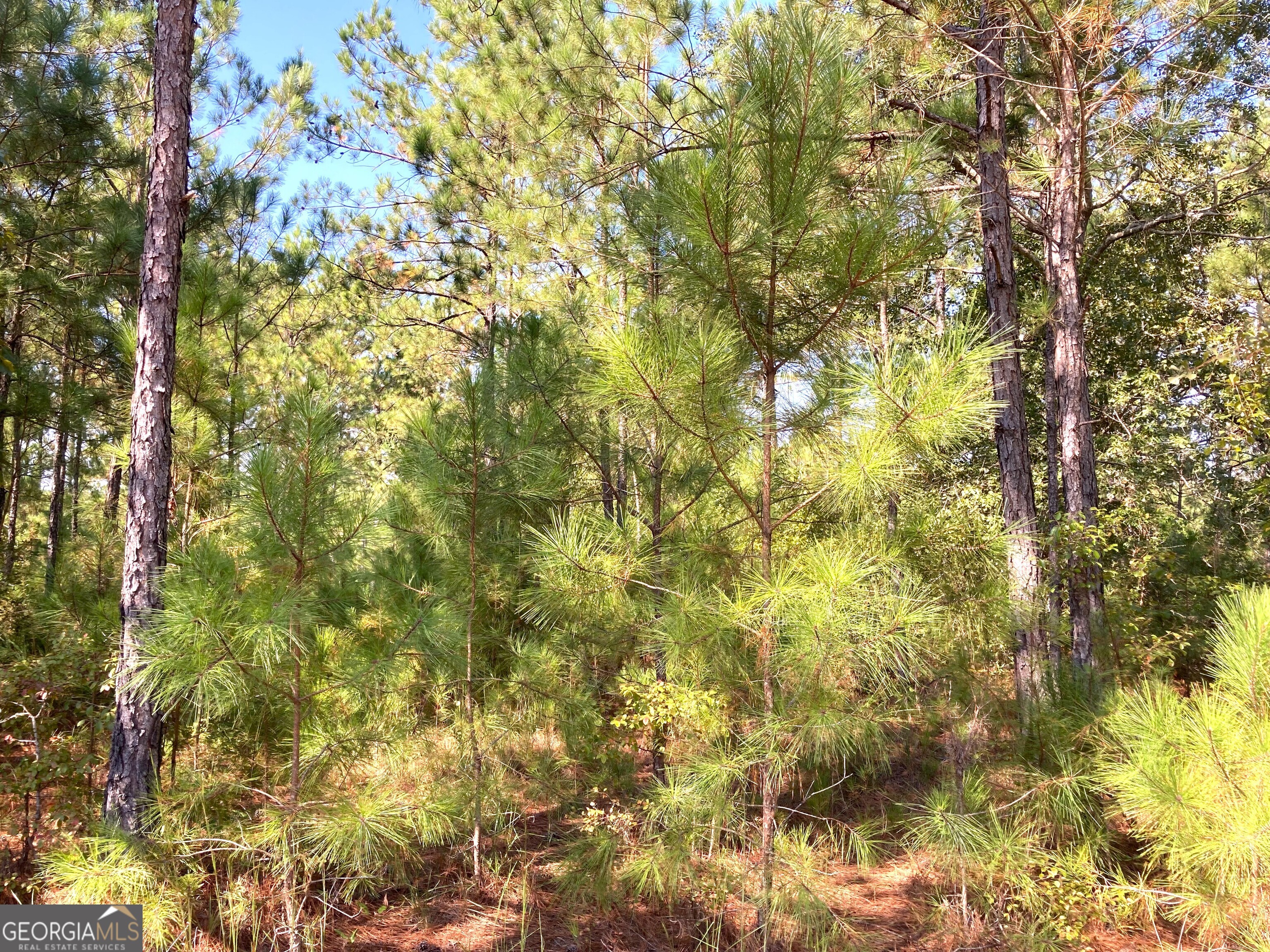 0 Firetower Road Property Photo 2