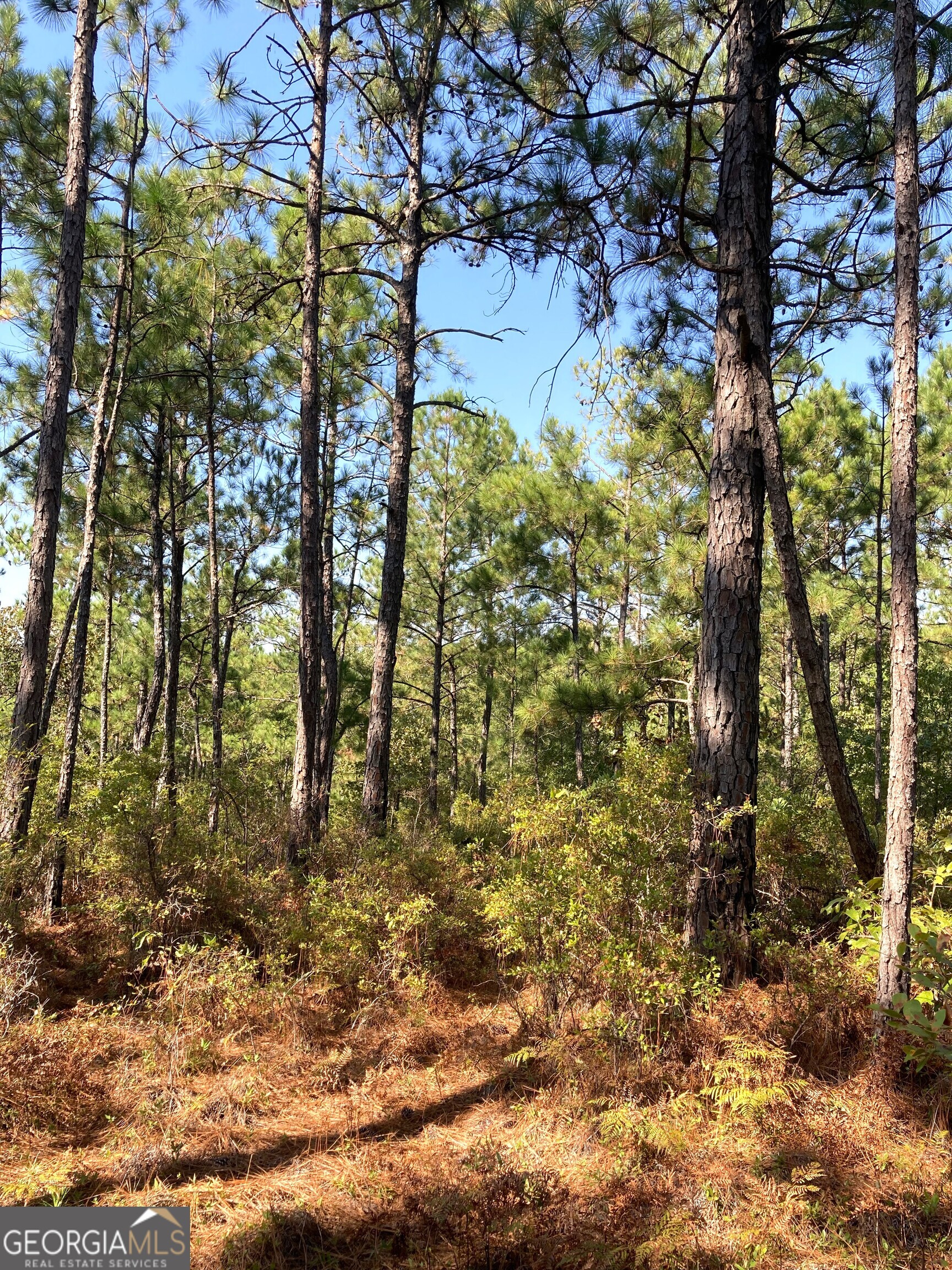 0 Firetower Road Property Photo 3