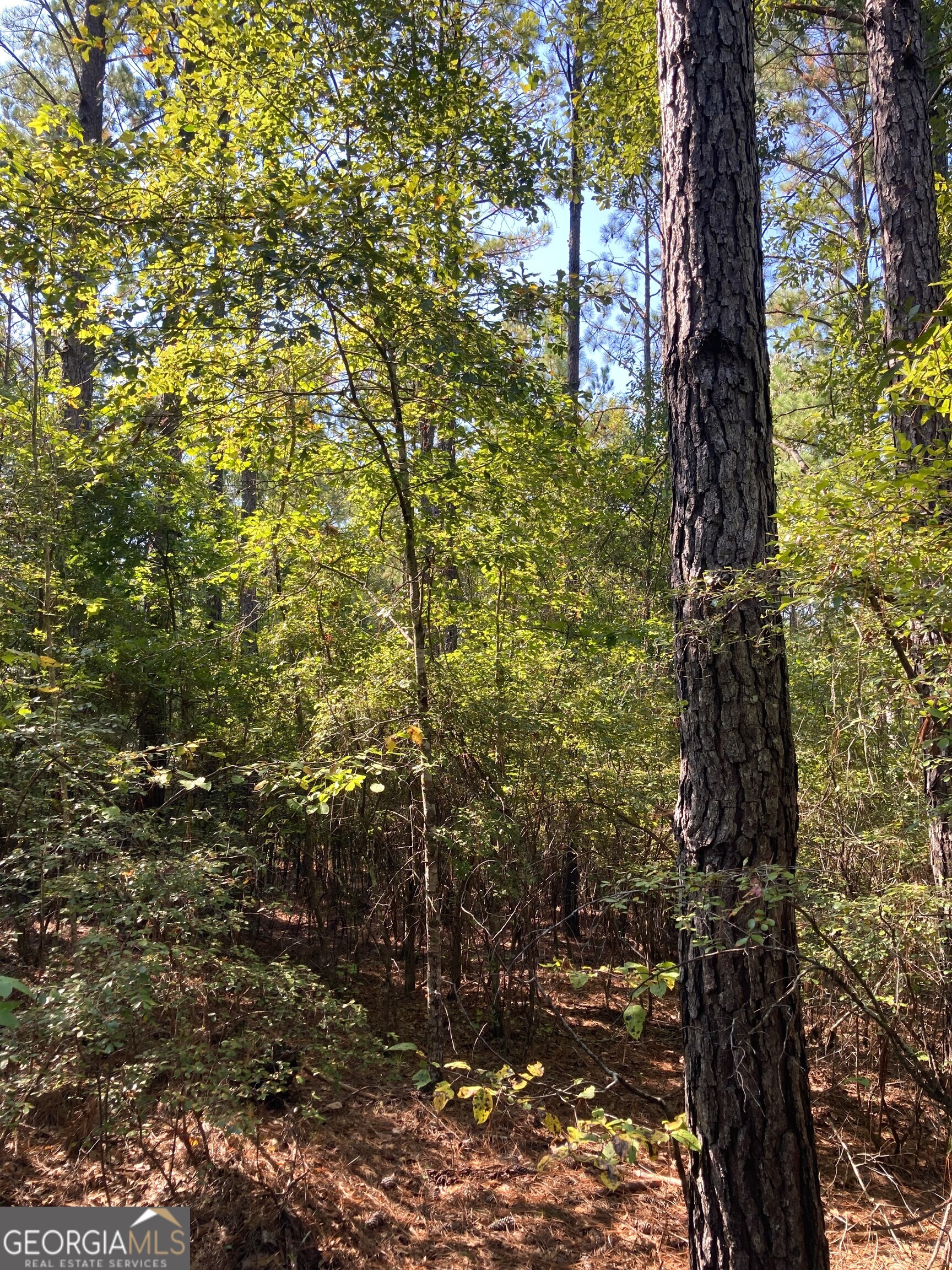 0 Firetower Road Property Photo 4