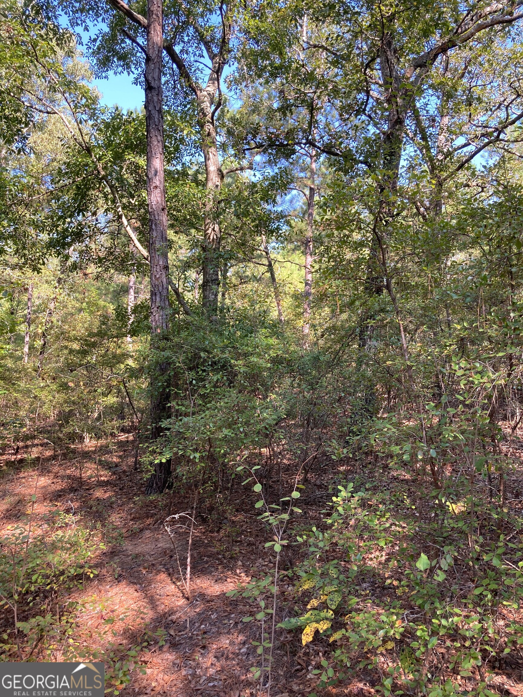 0 Firetower Road Property Photo 5