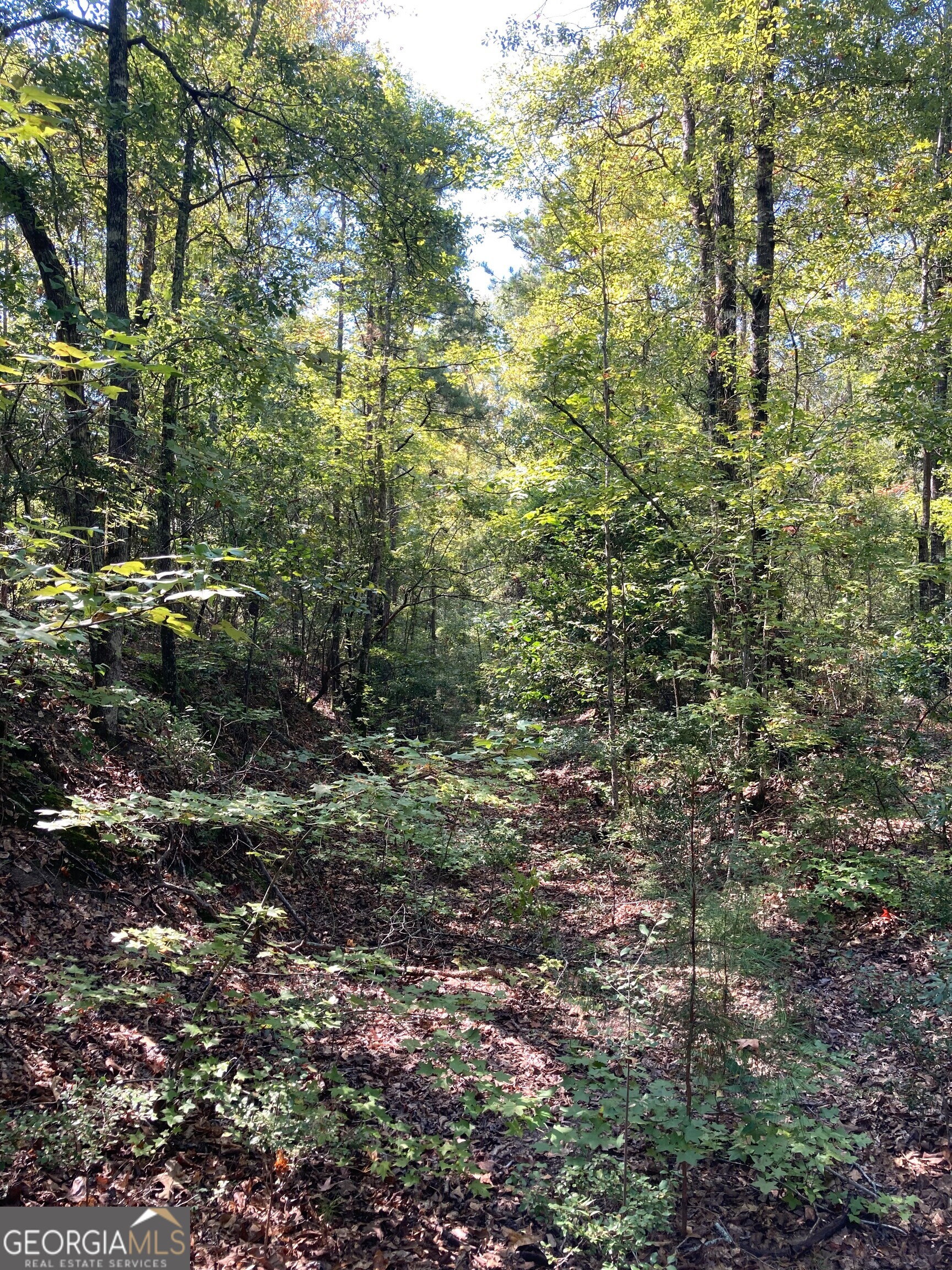0 Firetower Road Property Photo 6