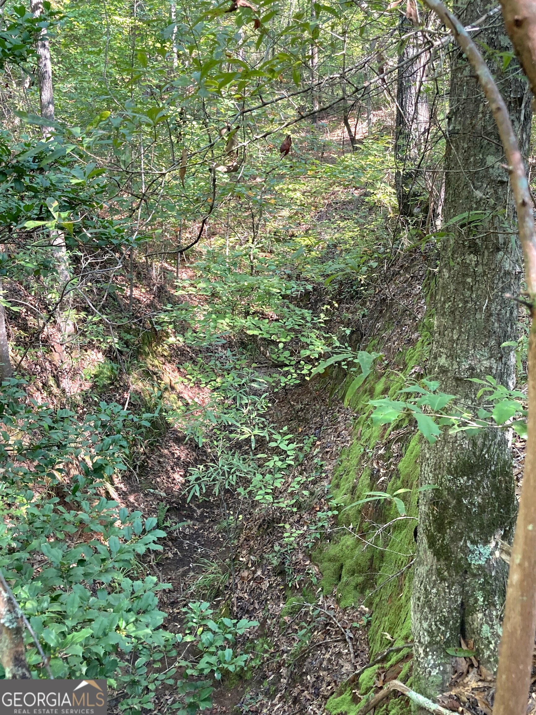 0 Firetower Road Property Photo 7
