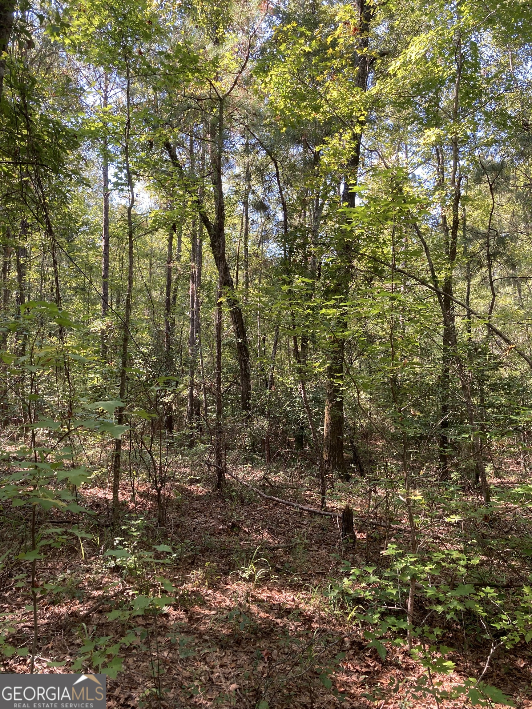 0 Firetower Road Property Photo 8