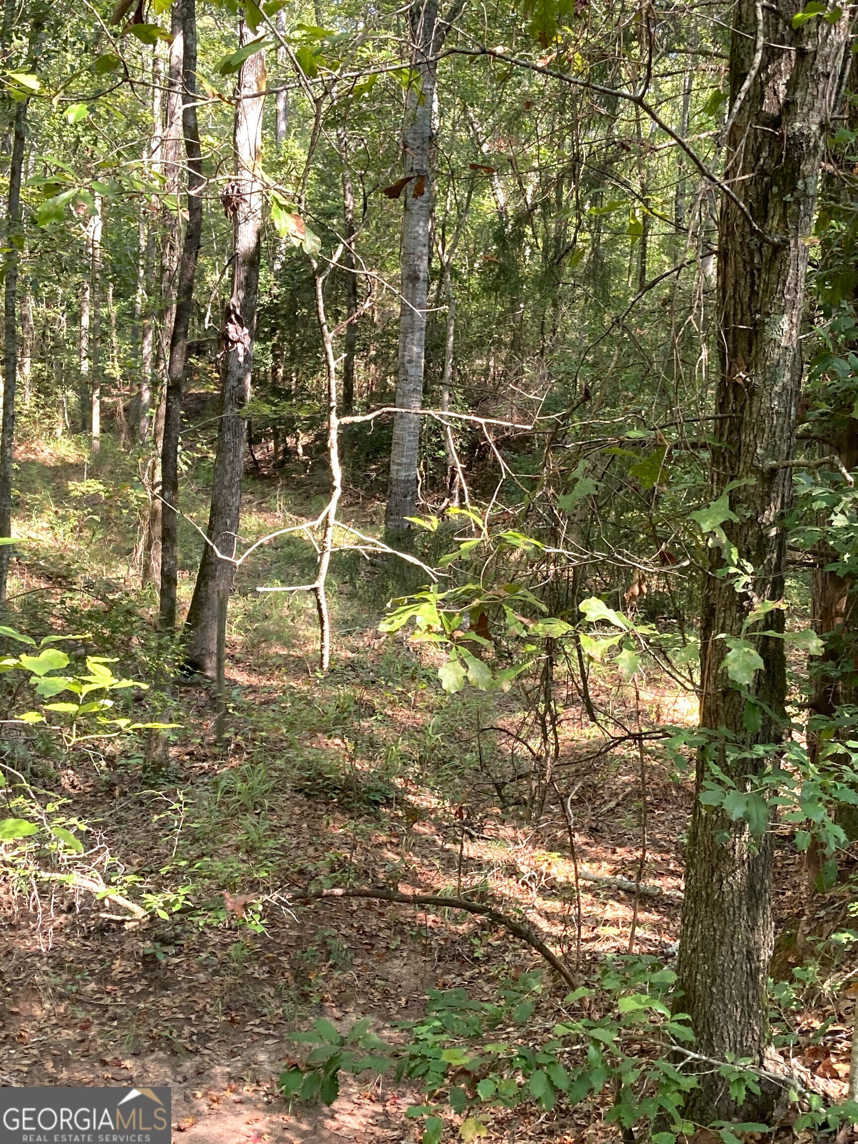 0 Firetower Road Property Photo 9