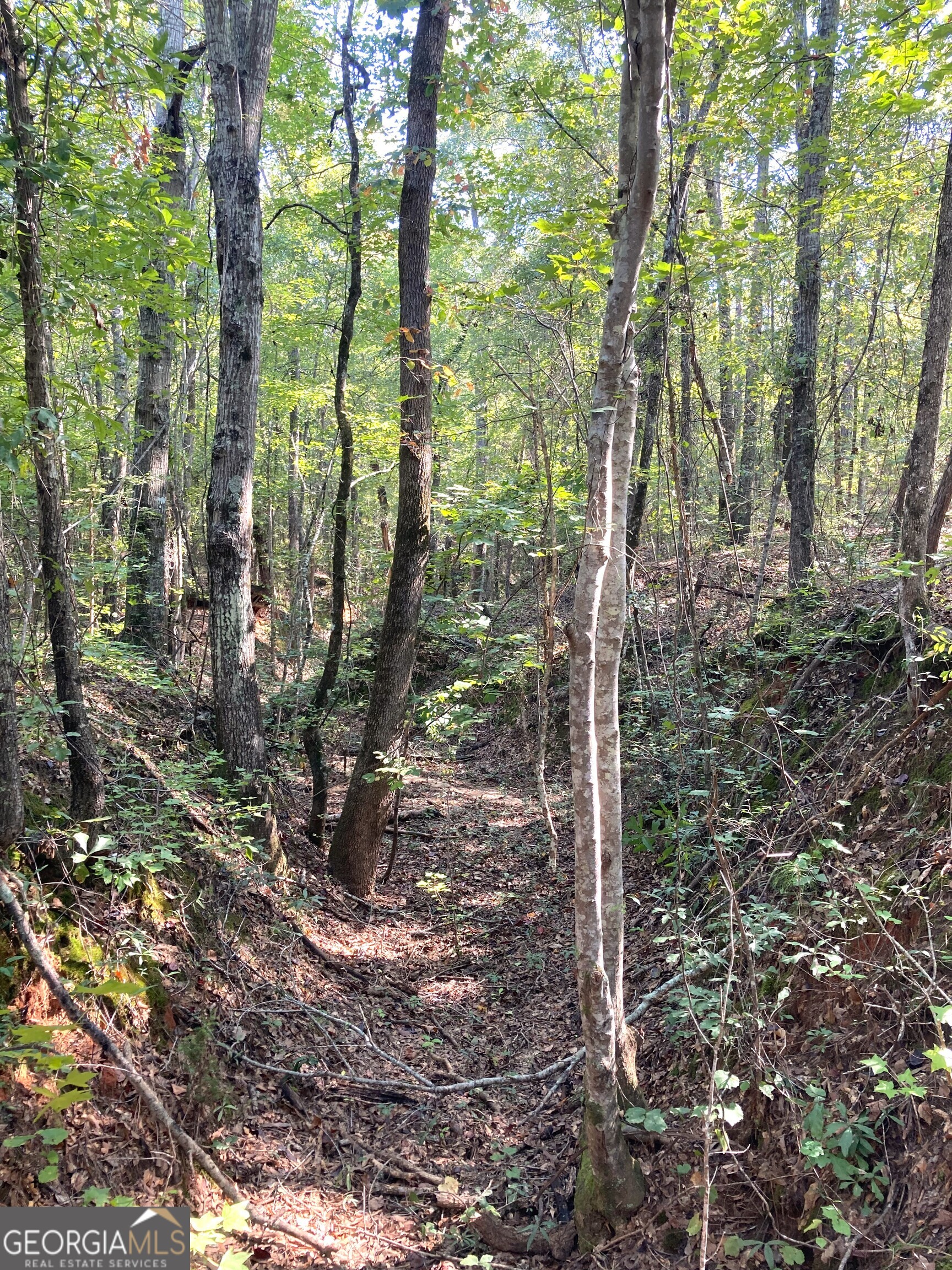 0 Firetower Road Property Photo 10
